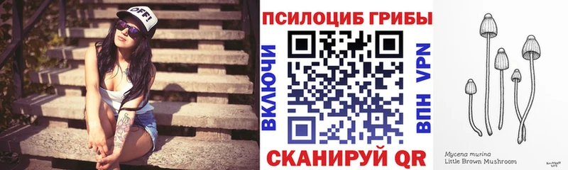 купить закладку Нолинск Галлюциногенные грибы GOLDEN TEACHER